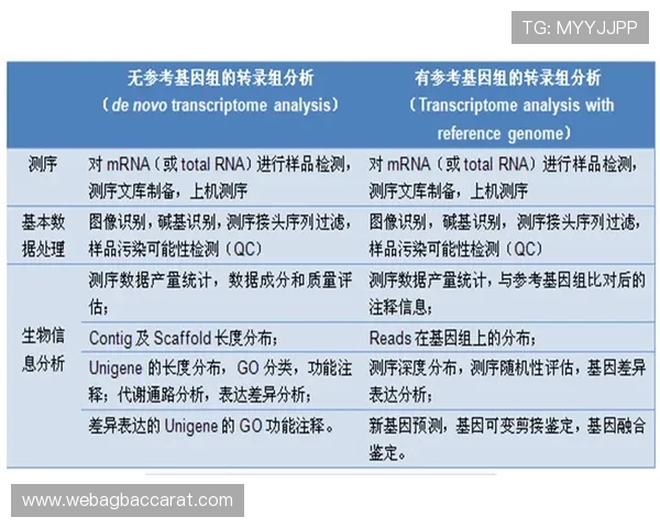 欧博真人足球注册流程详解：新手快速入门的完整操作指南